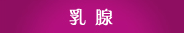 乳腺